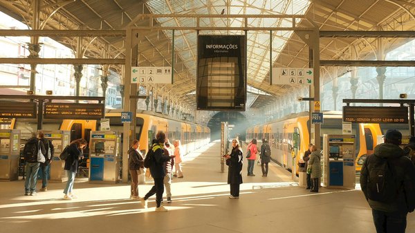 Vivre durable : conseils en habitat, jardin et éco-déco