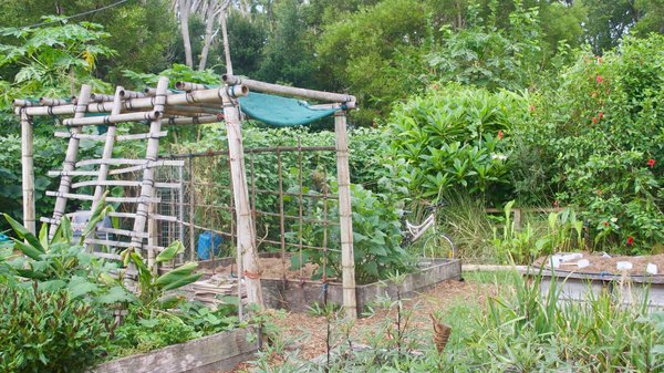 Quelles techniques avancées de permaculture peuvent être appliquées dans un jardin urbain de petite taille ?
